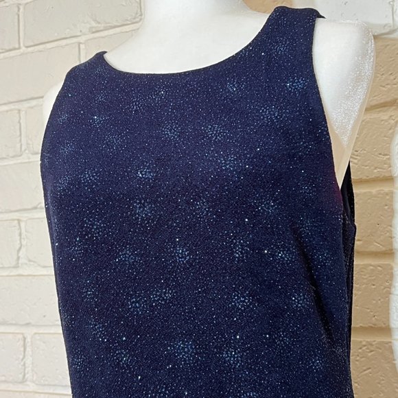 Alyn Paige v-neck sparkly sleeveless maxi  full length evening dress - Picture 3 of 10